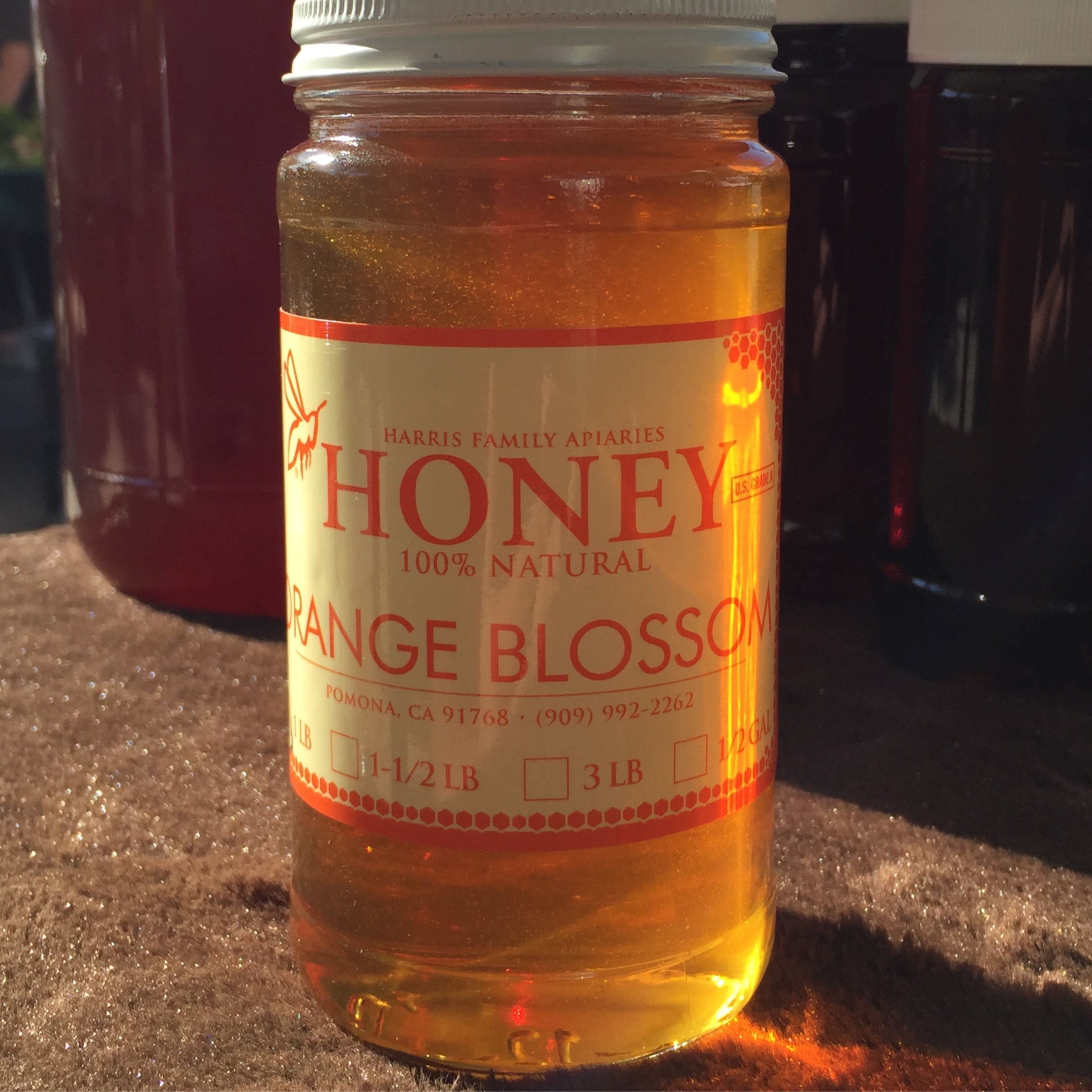 1lb Orange Blossom Honey Jar | Harris Family Apiaries