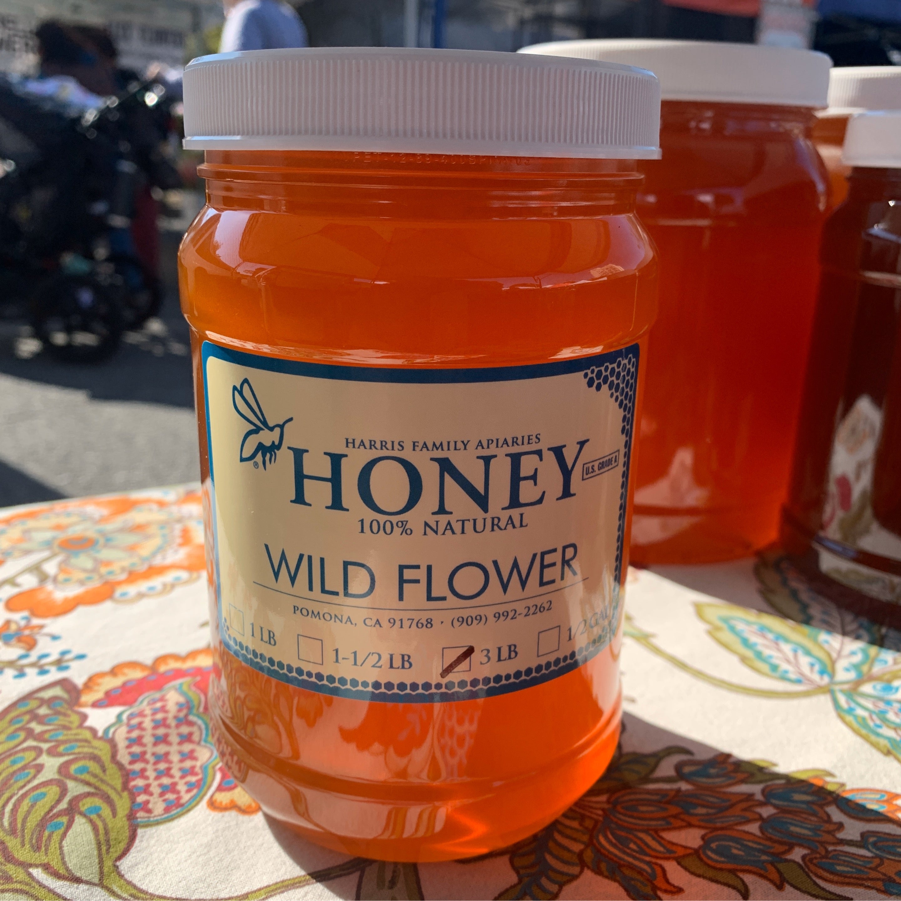 3lb Wildflower Honey Jar | Harris Family Apiaries